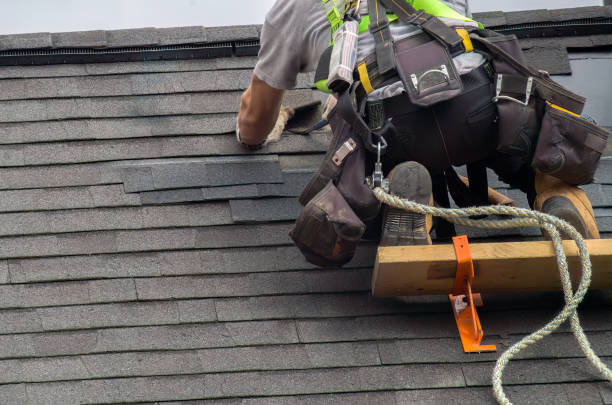Roof Gutter Cleaning in Tyhee, ID